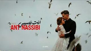                                                                                            دندنها