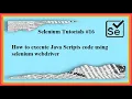 16 How to execute JavaScript functions using Selenium