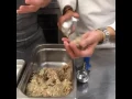 Live at Southern Living Johnny s Restaurant Southern Living