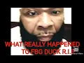 The Truth about FBG Duck