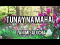 TUNAY NA MAHAL/ full music with lyrics/ by Lani Mesalucha