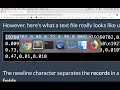 02 file object