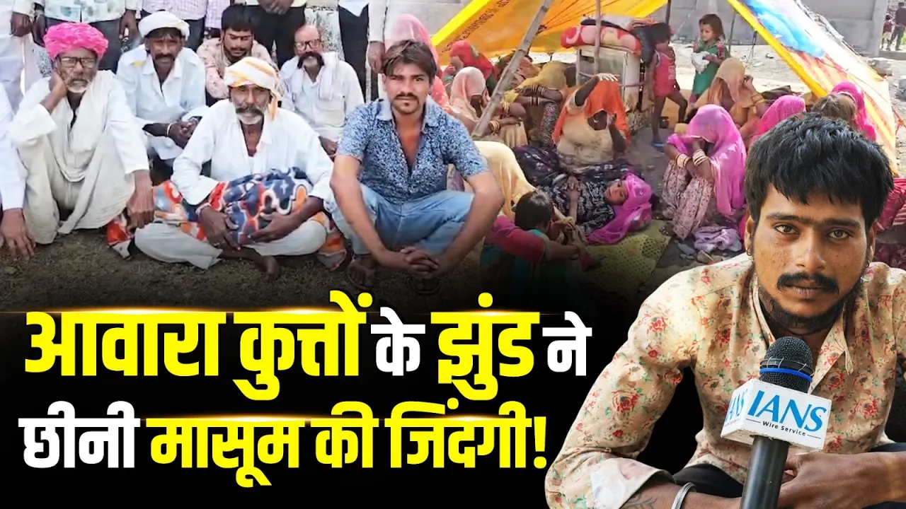 झालावाड़ में आवारा कुत्तों का आतंक, 2 साल की मासूम की दर्दनाक मौत | Jhalawar | Rajasthan