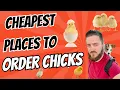Best Deals on Baby Chicks Meyer Cackle Hoover Tractor Supply Compared