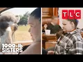 Amy's Camel Bite \u0026 Court Saga | 1000-lb Sisters | TLC
