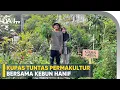Kebun Permaculture Impian - Kebun Hanif