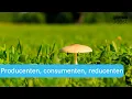 Ecologie | Producenten, consumenten en reducenten | Samenvatting