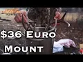 How To Do Your Own Deer Skull European Mount for 36