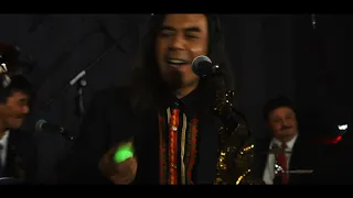 yale yale seroja band