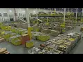 Amazon workers in New York City reject union
