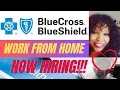 BLUE CROSS BLUE SHIELD IS HIRING NOW Work From Home Job