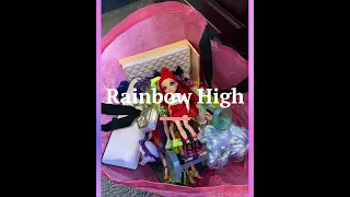 The Home Edit Toy Edit Dolls With A Million Accessories 