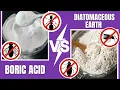 Diatomaceous Earth vs Boric Acid Which Is Best For Pest Control