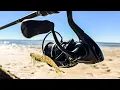 What Can We Catch Fishing Tampa Bay Florida on a Negative Tide