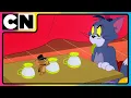 Download Lagu Tom and Jerry 😺🐭| The Cat Ain't Gonna Let The Mouse Chill! 🫨| Best Animations😆| @cnindia​