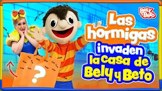 Las hormigas invaden la casa de Bely y Beto - Bely y Beto