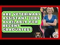 Are Veterinary Assistant Jobs Available for Recent Graduates Animal Care Jobs
