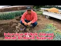Download Lagu Interview Kakek Jepang Tentang Pengalaman Bercocok Tanam 
