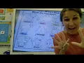 Brown Bear Brown Bear Color Worksheet