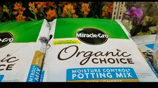 Costco ORGANIC SOIL Miracle-Gro Potting Mix 55QT - Whitney Farms planting soil 50QT