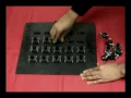 Scene Collages and Flexible Camera Arrays Flexible Camera Array