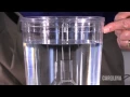 Exploring Photosynthesis