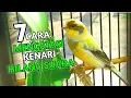 Download Lagu 7 Cara Mengatasi Kenari Serak Hilang Suara