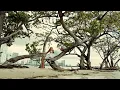 Download Lagu Jalil Lopez - Yo Quiero El Amor (Visualizer)