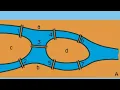 Case Study The Conic Bridge problem using Matrix Representation M C SNS Institutions
