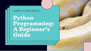 Automate Email Sending with Python Easy Tutorial for Beginners