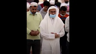 يا أيها الذين آمنوا اركعوا واسجدوا واعبدوا ربكم وافعلوا الخير لعلكم تفلحون 77 وجاهدوا في الله حق 