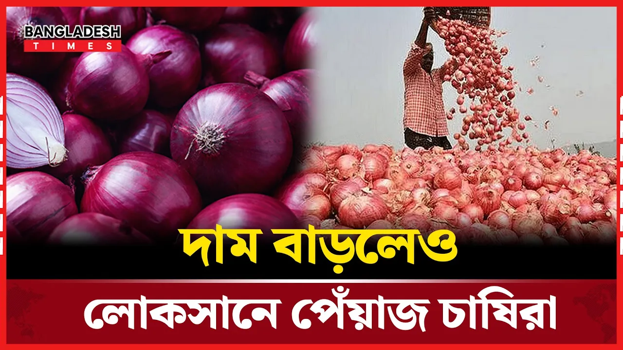 খরচের টাকা তুলতেই হিমশিম খাচ্ছেন পেঁয়াজ চাষিরা