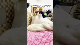 شوفو العريس مزوج اتلاثه اعراس عراقية 2022 حفله خطوبة ردح  شوفو العريس مزوج اتلاثه اعراس عراقية 2022 حفله خطوبة ردح