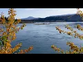Downtown Whitehorse