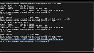 Write your first bash script