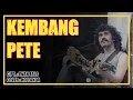 Download Lagu Iwan Fals Kembang Pete