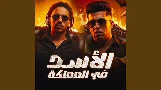 الأسد في المملكه 