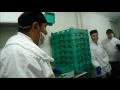 Fun in the Dish Pit Culinary Arts
