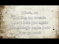 Haunted [Acoustic - Taylor Swift (With Lyrics)