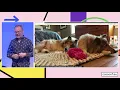 Modern Typographic Systems With Variable Fonts - Jason Pamental CSSconf EU 2019