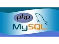 Php With Mysql In Hindi Part 5 Add multiple record