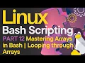 Looping Through Arrays in Bash Master For While Until Loops