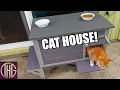 Download Lagu Orange Cat Approved?? GUTINNEEN Large Heated Cat House Unboxing \u0026 Set-up!