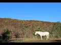 Echo Bluff State Park October 27 2018