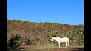 Echo Bluff State Park October 27 2018