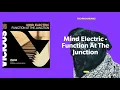 Mind Electric - Function At The Junction