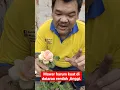 Download Lagu bunga mawar yg harum di dataran rendah maupun tinggi #bungamawar #rose
