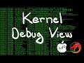 0x0b Reversing Shorts iOS macOS Kernel Debug View