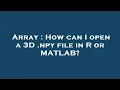 Array How can I open a 3D npy file in R or MATLAB