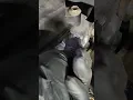 Download Lagu CAR NOT STARTING TURN  CAM SENSOR STRAIGHT AWAY STARTING #shortvideo #shorts #short